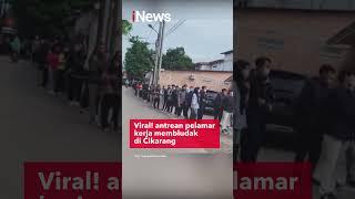 Viral! Antrean Pelamar Kerja Membludak di Cikarang #shorts #viral