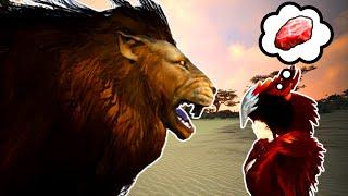 BDO Gathering for Profit: Valencia Lion Meat Guide