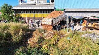 WOW New Project!, Complete100% Landfill in flooded, Bulldozer D20A Pushing & 5Ton Dump Truck