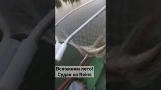 Судак на силикон! #fishing #силиконовыеприманки #судак