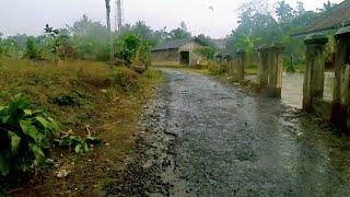 Walking in the rain under an umbrella is fun, enjoying the sound of rain in the village of Indonesia