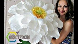 Giant flowers | Chamomile out of crepe paper | Part 1