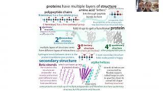 Valine biochemistry Bri-f edition