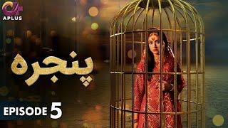 Pakistani Drama | Pinjra - Episode 5 | Aplus Gold | Yumna Zaidi, Nauman Aijaz | CZ1O