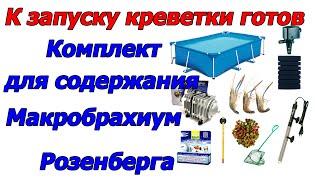 К запуску креветки готов,Комплект для содержания и выращивания Макробрахиум Розенберга