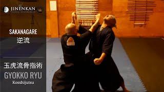 Jinenkan - Sakanagare / Gyokko Ryu (Artes Marciales Tradicionales Japonesas)