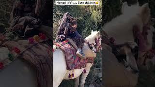 Nomad life️ Cute children Gujjar & Bakarwal️ #shorts #gujjar #bakarwal #viral