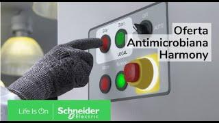 Mejora tu espacio de trabajo con la oferta antimicrobios Harmony | Schneider Electric