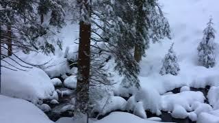 Крконоше, Чехия, 17.12.17 :: Спуск на лыжах в Пец под Снежкой из Jelení Louky