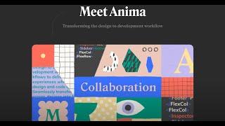 Getting Started with Anima - Set up Your Account