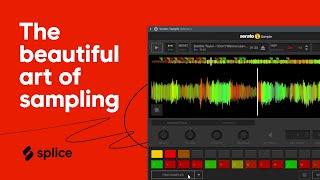 The beautiful art of sampling & how to find your (voice or style) within it