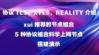 协议TLS，XTLS，REALITY介绍，xui推荐的节点组合，5种协议组合科学上网节点搭建演示