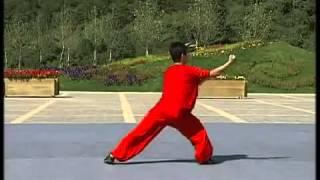 Changquan Duanwei 6th Liu Duan Chinese Wushu Association