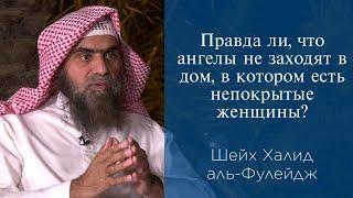 Правда ли, что ангелы не заходят в дом, в котором есть непокрытые женщины? | Шейх Халид аль-Фулейдж