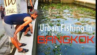 Urban Fishing In Bangkok