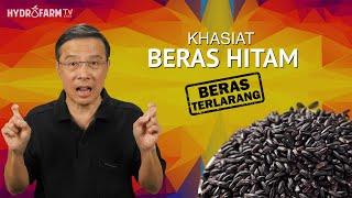 KHASIAT BERAS HITAM - "Beras Terlarang !"