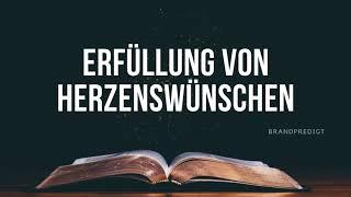 Erfüllung von Herzenswünschen | Matthias Brandtner | #brandpredigt