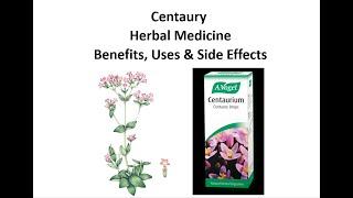 Centaury - Herbal Medicine - Benefits, Uses & Side Effects