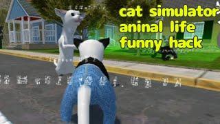 Самый смешной взлом cat simulator - animal life | funny hack