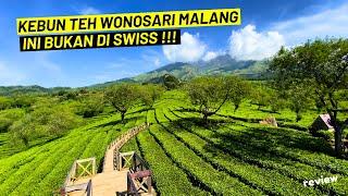 Bukan di Swiss Tapi Di Kebun Teh Wonosari Malang !!! Terbaru Rute Menuju Bukit Kuneer 2023