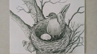 Daily challenge#88/Bird in a nest drawing/bird drawing