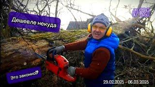 How to prepare FIREWOOD for FREE and not get impaled!?