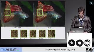 Controlling the Latent Space at Inference Time - Vision Day 2018