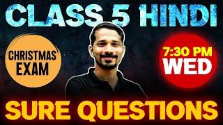 Class  5 Hindi Christmas Exam | Sure Questions | Exam Winner Class 5