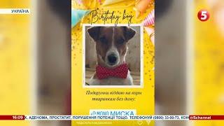 Легендарний пес-сапер Патрон відзначає день народження
