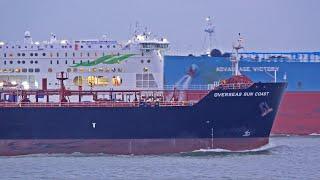 SHIP TRAFFIC AT THE PORT OF ROTTERDAM - 4K SHIPSPOTTING ROTTERDAM DECEMBER 2024