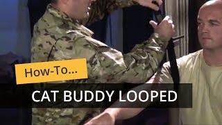 CAT Buddy Application (Looped)