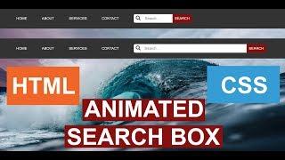 Animated Search Box