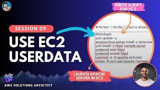 What is EC2 Userdata | Public-Private IP | AMI | Placement Groups | Install Nginx/Apache EC2