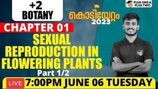 Plus Two Botany | Chapter 1 - Sexual Reproduction in Flowering Plants - Part 1/2 | Eduport