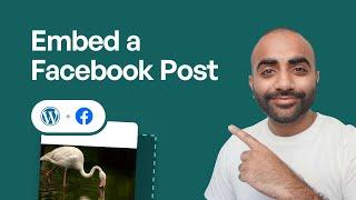 How to Embed a Facebook Post in WordPress | Smash Balloon Facebook Feed Pro Plugin Tutorial