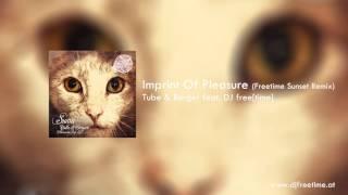 Tube & Berger - Imprint Of Pleasure (Freetime Sunset Remix) [Radio Edit]