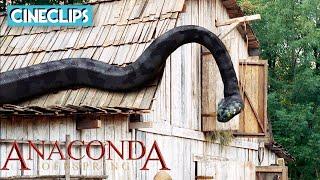 ¡Anaconda asesina! | Anaconda 3: La Amenaza | CineClips | Con subtitulos