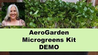 How to Grow AeroGarden Microgreens with the AeroGarden Microgreens Kit | Hydroponic Microgreens