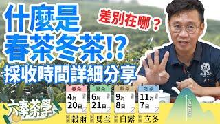 【六奉茶莊】什麼是春茶、冬茶？詳細採收日期及茶湯差異性分享~六奉茶莊全新場景初登場！