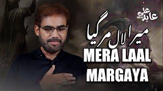 Mera Laal Margya | Mir Abid Ali Moosvi 2024 | New Nohay 2024 | Muharram 2024/1446