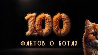 100 фактов о котах / 100 facts about cats