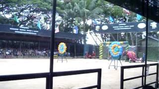 Elephant show in Thailand - Шоу слонов в Таиланде