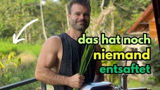 Warum ich den Angel Juicer Entsafter wieder benutze | Ich entsafte, was noch niemand gemacht hat