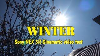 Winter Vlog: Cinematic Sony NEX-5R