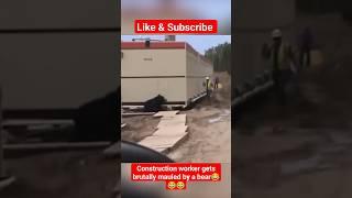 Construction worker gets brutally mailed by a bear #bear #construction #wildanimals