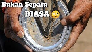 Oh Jadi Begini Cara Pasang Sepatu Kuda 