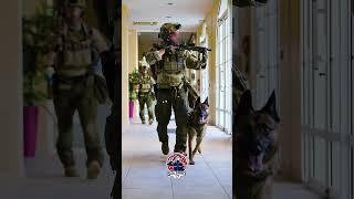 Special Forces France #policenationale #raid #cpa10 #military #statusmilitar #militarydogs #fyp