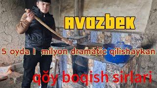 QŎY BOQISH SORLARI 5 OYDA 1 DAN MILYON DAROMAT QILAYKALAR AVAZBEK