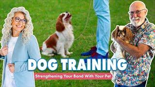Consistency & Clear Instructions in Dog Training