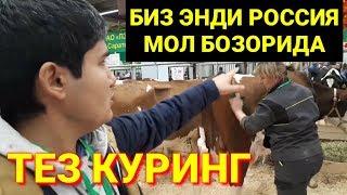 УЗБЕКЛАР РОССИЯ МОЛ БОЗОРИДА